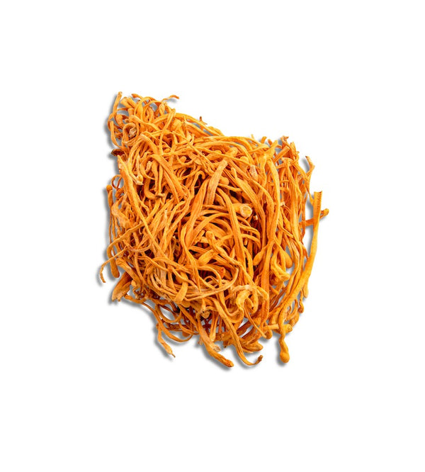 Cordyceps Mushroom