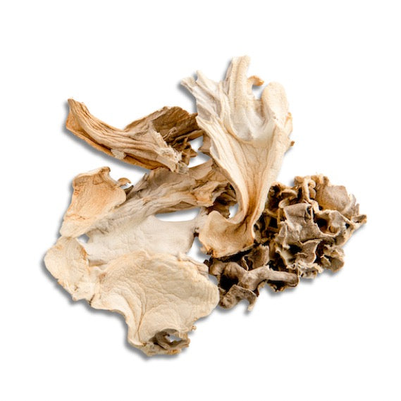 Maitake Mushroom